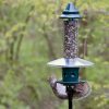 Squirrel proof 5 1 pound Adjustable Pole mountable SEPARATELY - Image 11