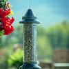 Squirrel proof 5 1 pound Adjustable Pole mountable SEPARATELY - Image 5