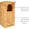 JCs Wildlife Barred Owl Nesting Box - Treated Exterior Grade Plywood - Mounting Hardware and Pine Shavings Included - Dedicated Clean Out Door for Easy Cleaning - Made in The USA - Image 3