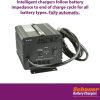 Schauer Jac1548H Club Car Powerdrive Battery Golf Equipment Charger 48 Volt, 15 Amp - Image 5