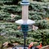 Squirrel proof 5 1 pound Adjustable Pole mountable SEPARATELY - Image 4