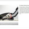 Miele Electro Plus Full Size Electrobrush - Image 5