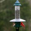 Squirrel proof 5 1 pound Adjustable Pole mountable SEPARATELY - Image 8