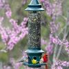 Squirrel proof 5 1 pound Adjustable Pole mountable SEPARATELY - Image 7